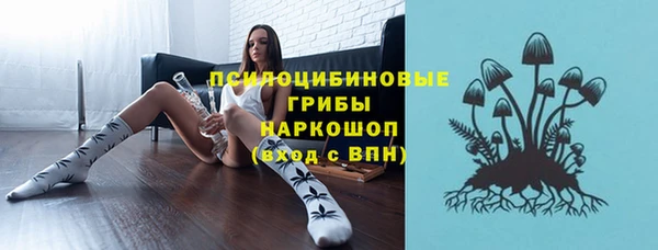 сатива Балабаново