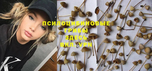 дурь Балахна