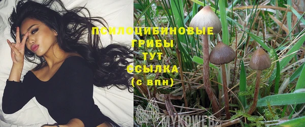 дурь Балахна