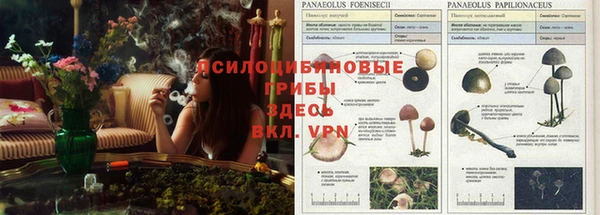 сатива Балабаново