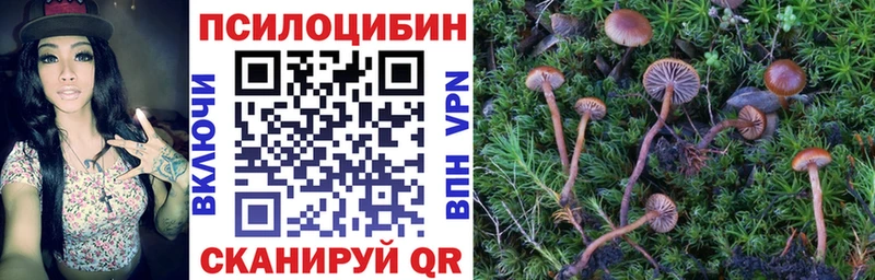 сайты даркнета формула  MEGA tor  Галлюциногенные грибы прущие грибы  Зверево  где найти наркотики 